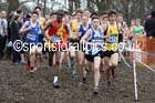Boys under-15s Inter Counties Cross Country, Prestwold Hall, Loughborough. Photo: David T. Hewitson/Sports for All Pics